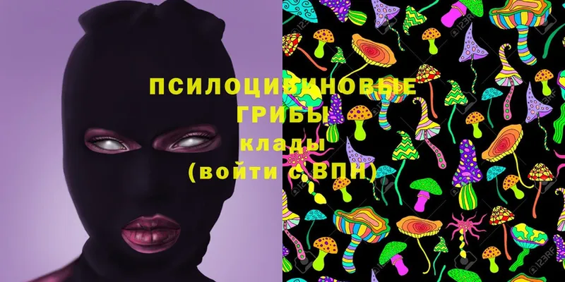 Псилоцибиновые грибы MAGIC MUSHROOMS  Кимовск 